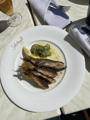 Restaurant Salutorget by null