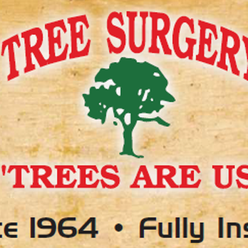 Ace Tree Surgery - Tree Services Near Me - Marietta, Georgia Ace Tree Surgery - Tree Services Near Me - Marietta, Georgia