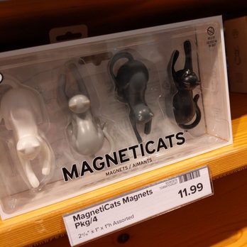 The Container Store - Essential for cat lovers - Four magnetic cat figurines in black, white, silver, and gray are displayed in a clear plastic case on a wooden shelf, labeled as 'MagnetiCats'. - Home Decor Near Me - Fairview, Texas