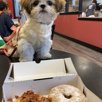 Duck Donuts - Donuts Near Me - Pittsburgh, Pennsylvania