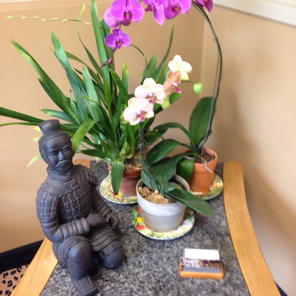 FrameUp Eyewear  - Eyewear & Opticians Near Me - Snyder, New York