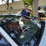 Photo of Atlantik Auto Glass