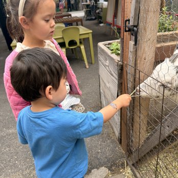 Global Montessori International School - Montessori Schools Near Me - Berkeley, California