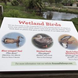 Demonstration Garden & Wetland's Pond Area - Wetland Birds