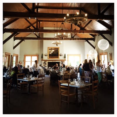 Centennial Vineyards by null