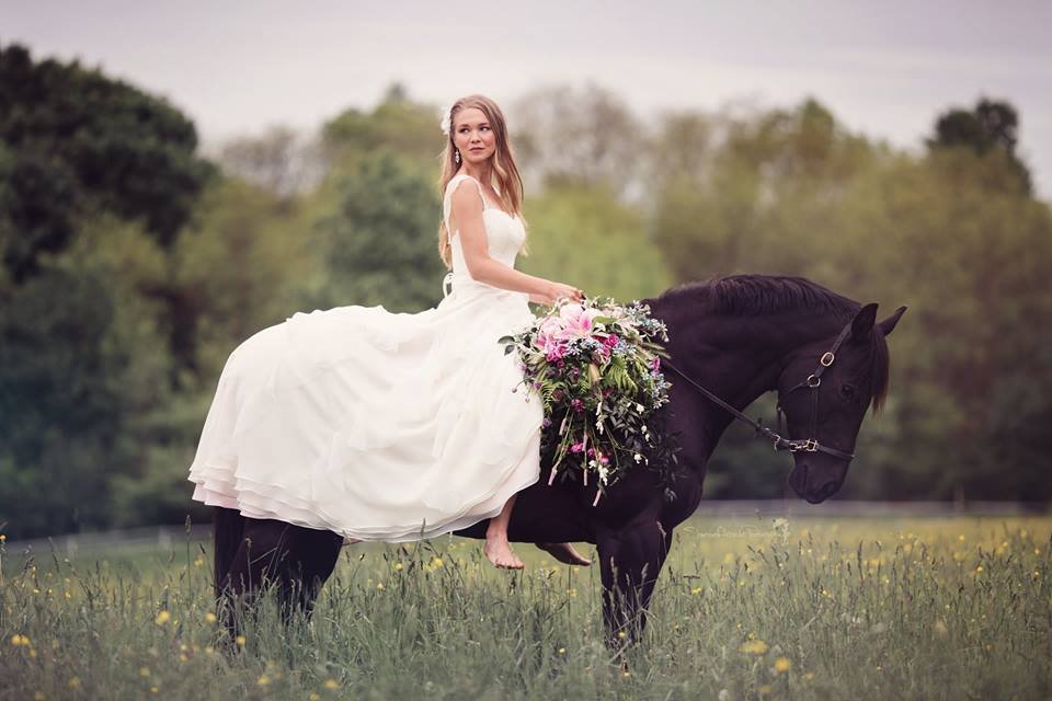 Ahaso Hill Farm - equestrian in Marshfield, VT