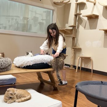 9 Whiskers Lounge - Themed Cafes Near Me - Katy, Texas