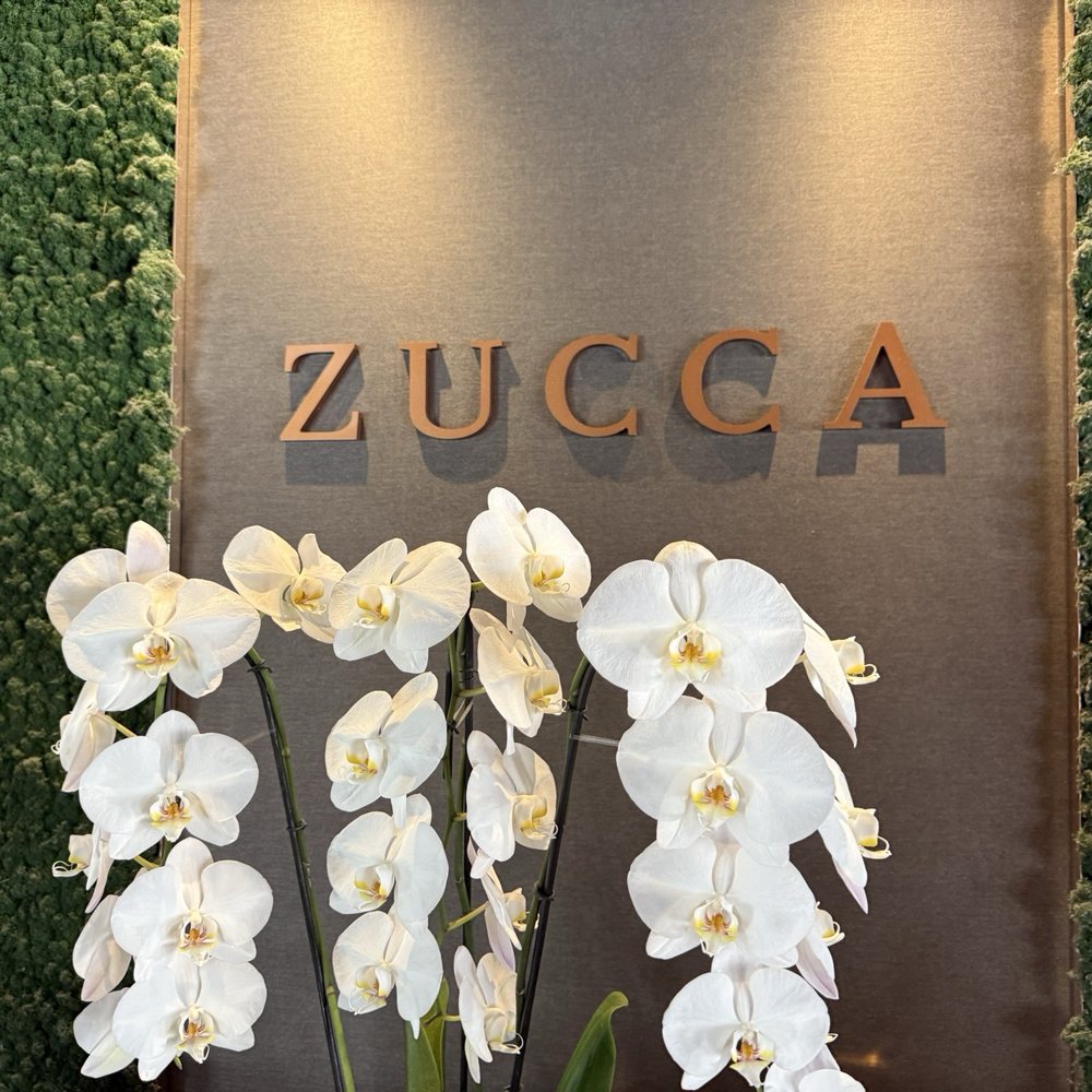 Zucca - Entry - Italian Near Me - Coral Gables, Florida Zucca - Entry - Italian Near Me - Coral Gables, Florida