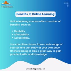 Strategism Inc - Online Instructor Led Training Institute