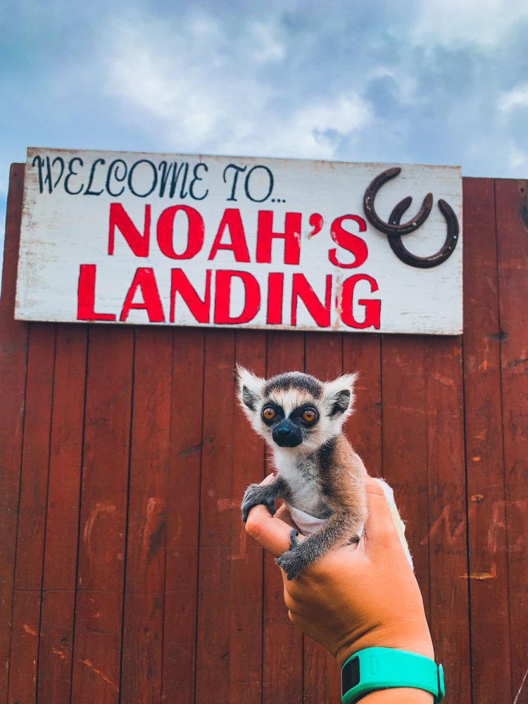Noah's Landing Mobile Petting Zoo - equestrian in Daytona Beach, FL