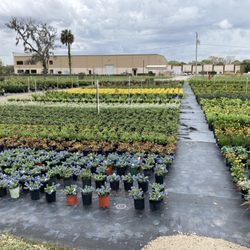 Sanford Gardens