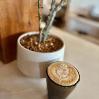 Palomino Coffee - Coffee & Tea Near Me - Austin, Texas