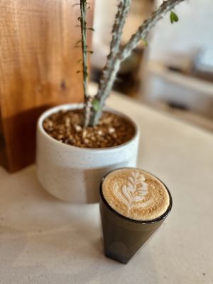 Palomino Coffee by null
