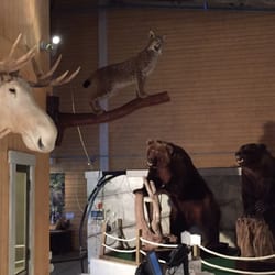 Restaurang Stenebygrytan - Mycket god mat.