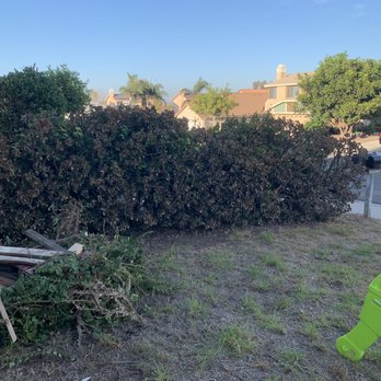 Haul Loads Services - Before - Landscaping Near Me