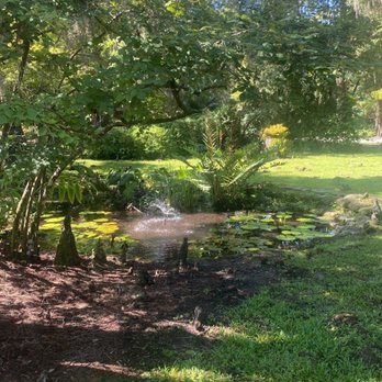 Eureka Springs Park - Parks Near Me - Tampa, Florida Eureka Springs Park - Parks Near Me - Tampa, Florida