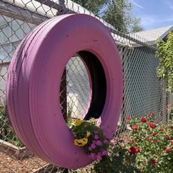 Albuquerque Water Gardens & Nursery