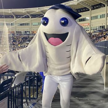 George Steinbrenner Field - Stinger, newest mascot - Venues & Event Spaces Near Me - Tampa, Florida