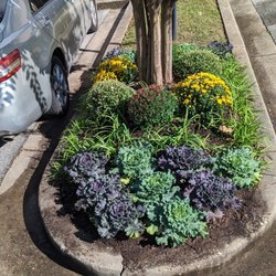 Well-Kept Lawns
