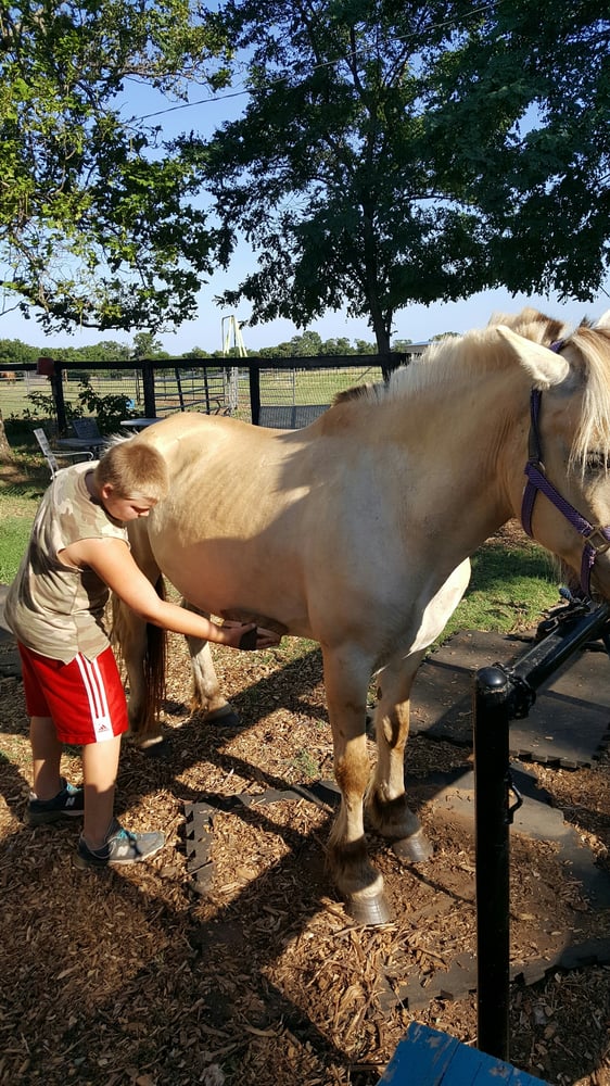 Thunder Roll Ranch - equestrian in Arcadia, OK