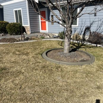 Bumblebee lawn care - a bare tree in front of a house - Snow Removal Near Me - Kennewick, Washington