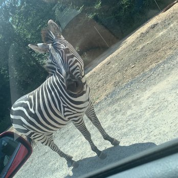 Zootastic Park - Zoos Near Me - Troutman, North Carolina Zootastic Park - Zoos Near Me - Troutman, North Carolina