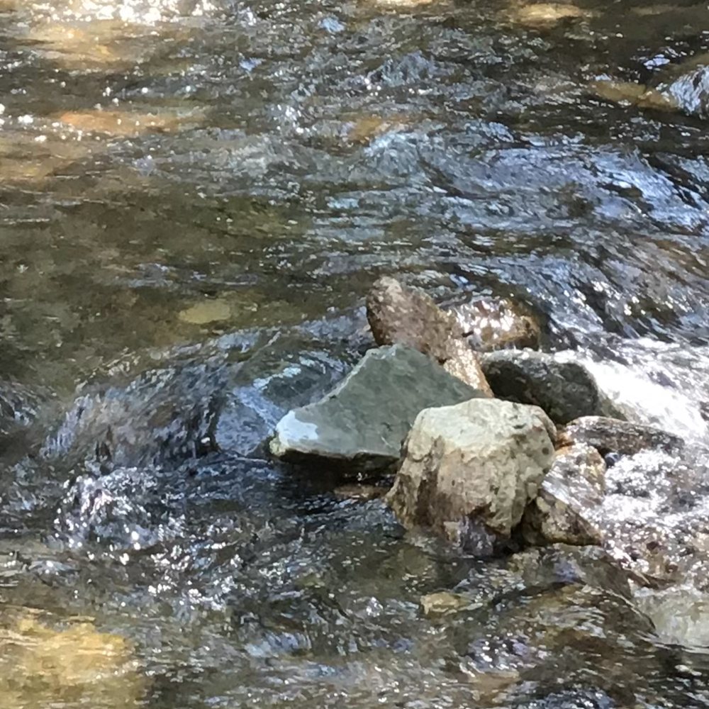 Barton Flats Campground - Campgrounds Near Me - San Bernardino, California