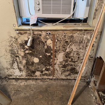 Ph Enviro Tech - Hidden mold growth behind wood paneling discovered during Mold Assessment in a residential home around the Arlington, Texas area. - Environmental Testing Near Me - Fort Worth, Texas Ph Enviro Tech - Hidden mold growth behind wood paneling discovered during Mold Assessment in a residential home around the Arlington, Texas area. - Environmental Testing Near Me - Fort Worth, Texas