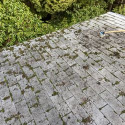 Northwest Exterior Services - Then we gently brush off all the thick moss with a soft bristle brush.