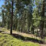 Photo of White Pines Park & Lake