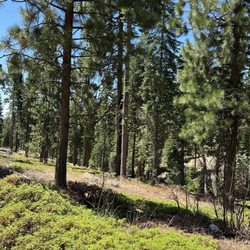 White Pines Park & Lake