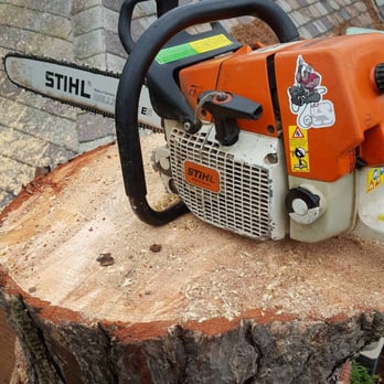 Extreme Tree Service - Tree Services Near Me - Swanton, Ohio