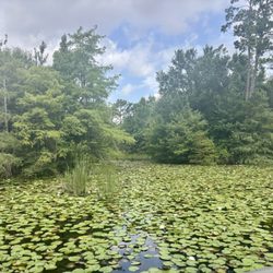 Atascocita Park