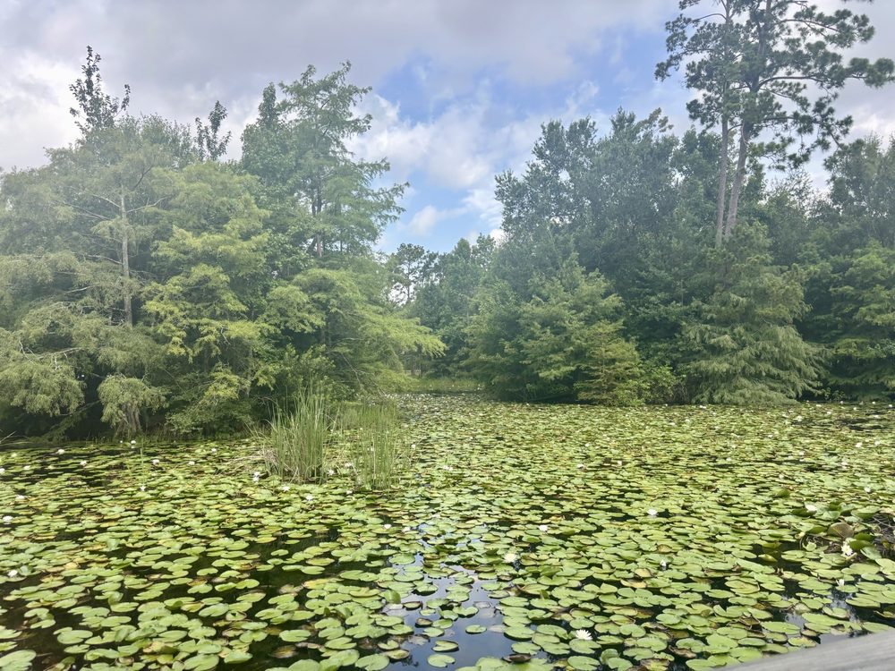 Atascocita Park Image