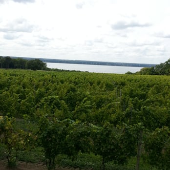 Ventosa Vineyards - View of vineyard and Lake Seneca from patio cafe. Beautiful. - Wineries Near Me - Geneva, New York