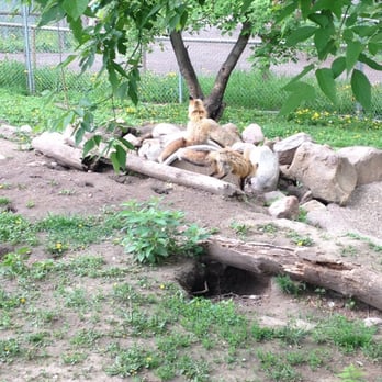 Dakota Zoo - Zoos Near Me - Bismarck, North Dakota