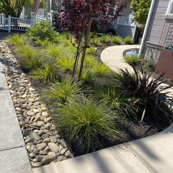 DCJ Gardening - Planting - Gardeners Near Me DCJ Gardening - Planting - Gardeners Near Me