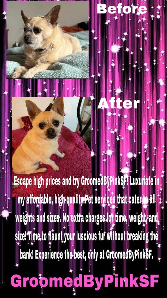 GROOMEDBYPINKSF TEMP. CLOSED Updated July 2024 4305 Harrison St