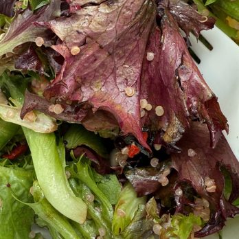 QWENCH juice bar - Vegan Bowl - Juice Bars & Smoothies Near Me - Sherman Oaks, California