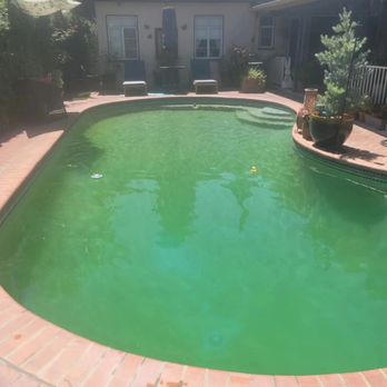 Apex Pool and Spa Service - Green to clean before. - Pool Cleaners Near Me Apex Pool and Spa Service - Green to clean before. - Pool Cleaners Near Me