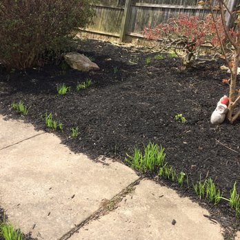 Workhorse Landscaping - a garden with black mulch - Snow Removal Near Me Workhorse Landscaping - a garden with black mulch - Snow Removal Near Me