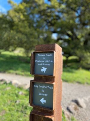 Taylor Mountain Regional Park by null