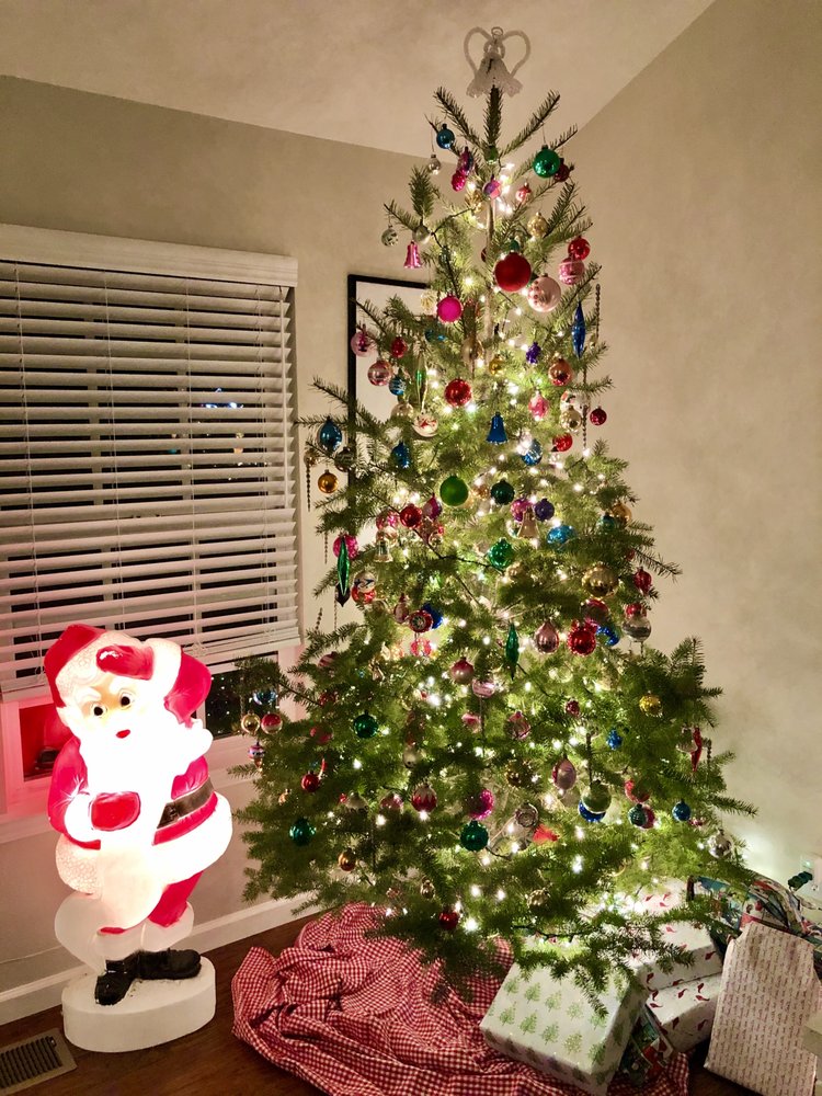 FROSTY MOUNTAIN TREE FARM TEMP. CLOSED Updated July 2024 17