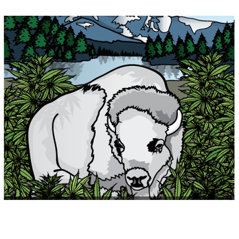 Marisol Therapeutics - Cannabis Dispensaries Near Me - Pueblo West, Colorado Marisol Therapeutics - Cannabis Dispensaries Near Me - Pueblo West, Colorado