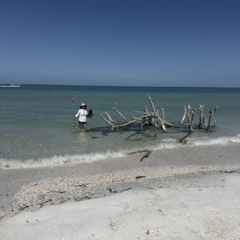 Hubbard's Marina - We were able to spot sea turtles and loads of small fish in the water. - Boating Near Me - Madeira Beach, Florida