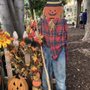 Photo of Riverwalk Fall Festival