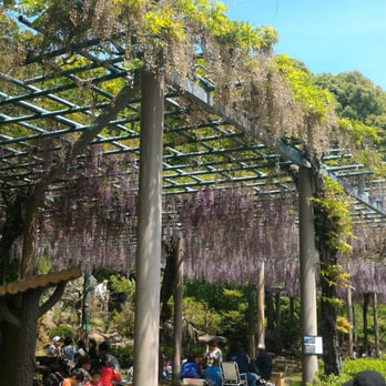 藤枝市役所蓮華寺池公園案内所 Public Services Government 若王子411 藤枝市 静岡県 Japan Phone Number 藤枝市役所蓮華寺池公園案内所 Public Services Government 若王子411 藤枝市 静岡県 Japan Phone Number