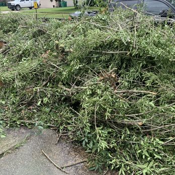 Rouses Tree & Landscaping Services - Tree Services Near Me - Metairie, Louisiana Rouses Tree & Landscaping Services - Tree Services Near Me - Metairie, Louisiana