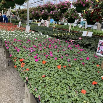 Tuttle Orchards - Greenhouse view of flowers - Fruits & Veggies Near Me - Greenfield, Indiana