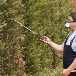 Expert Pest Management - Expert Pest Management